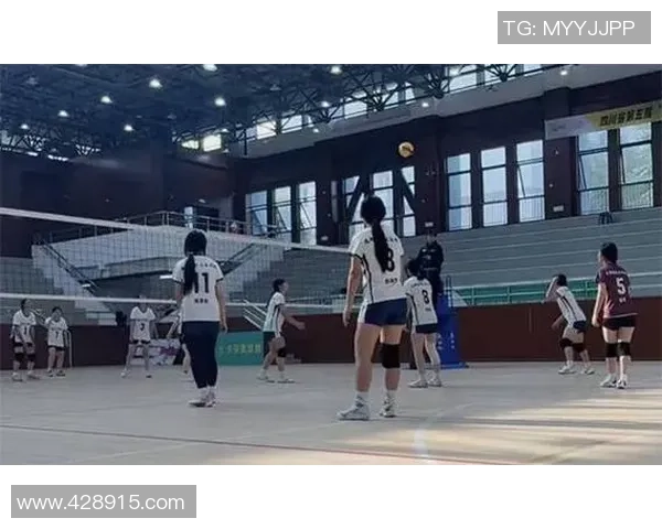 成都排球队在排球状态排行榜中荣获第六名展现出强劲实力与潜力 成都排球队在排球状态排行榜中荣获第六名展现出强劲实力与潜力